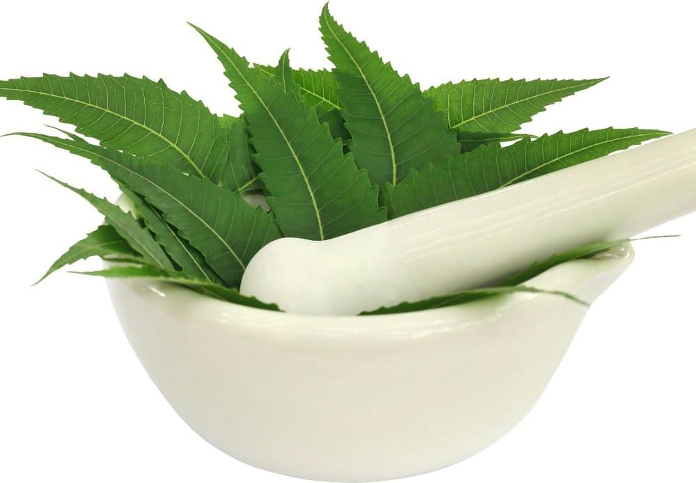 10 Amazing Benefits Of Neem Face Pack For Flawless Glowing Skin